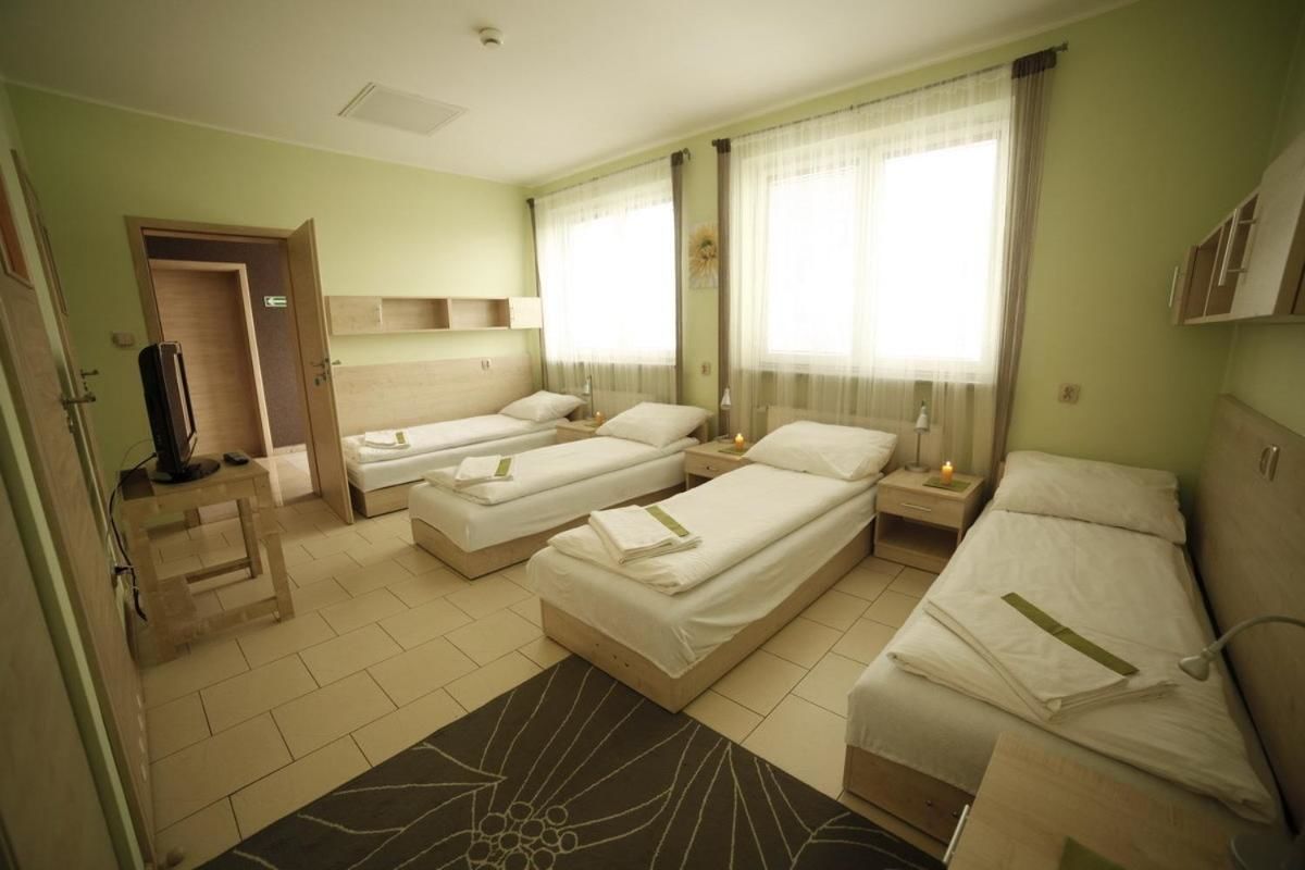 Отели типа «постель и завтрак» Standard Delegacyjny Bed & Breakfast Домброва-Гурнича-7